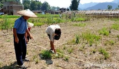 农村土地承包有前景吗?有人说“农业项目都是坑”,你怎么看?