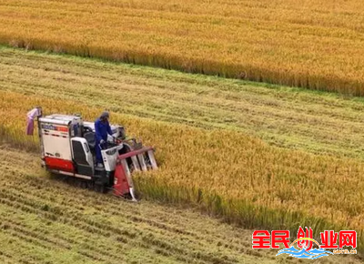 农村办厂加盟好项目在农村闷声发财的几个行业盈利能力很强